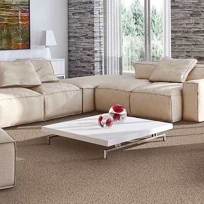 Mohawk Carpet